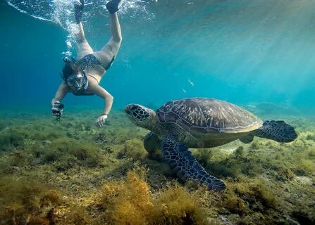 Ausflüge von Marsa Alam