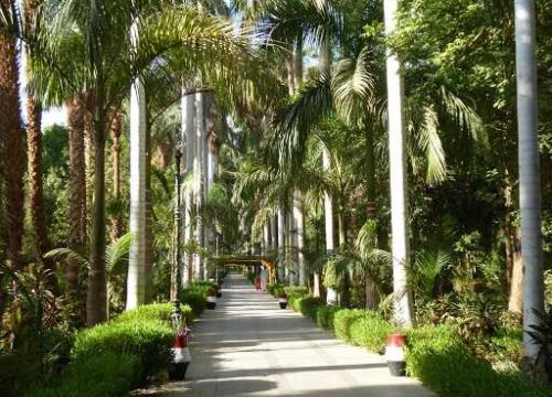 Die Kitchener-Insel in Aswan Geschichte und Besuchsguide