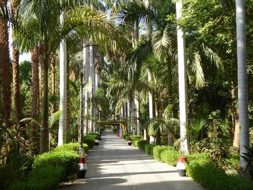 Die Kitchener-Insel in Aswan Geschichte und Besuchsguide