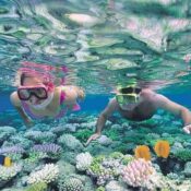 Entdecken Sie das Rote Meer in Ägypten Ein Reiseführer