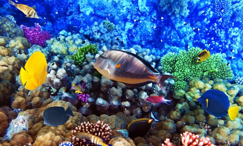 https://www.youregypttours.com/storage/559/1629342625.jpg